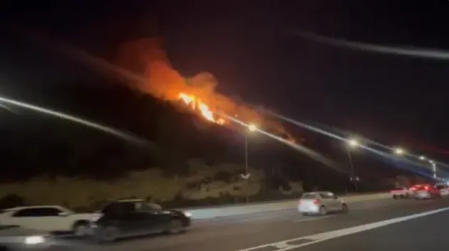 Kebakaran Hebat Landa Israel: 2.500 Hektare Lahan Terbakar, Ribuan Warga Dievakuasi, Militer Dikerahkan