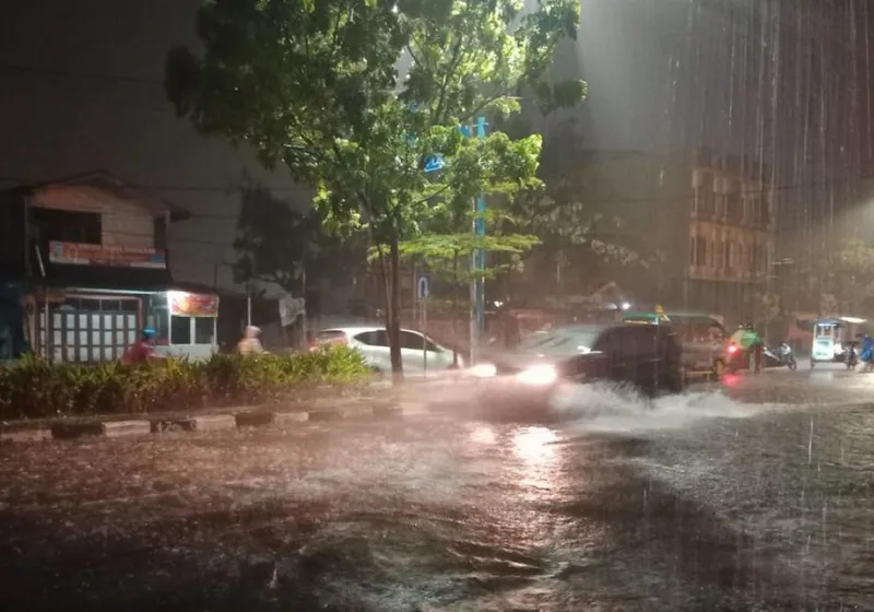 Hujan Deras Sebabkan Pohon Tumbang di Medan, Listrik Sempat Padam